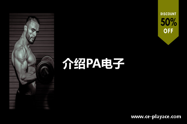 介绍PA电子
